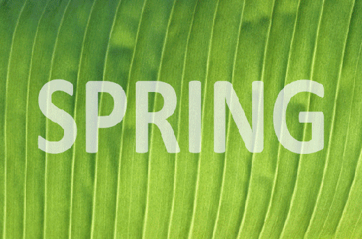 spring-slideshow